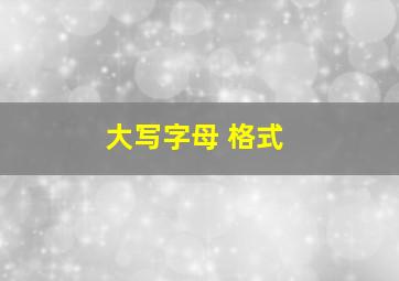 大写字母 格式